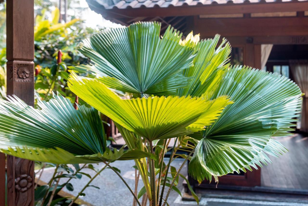 Villa Waturenggong Ubud エクステリア 写真